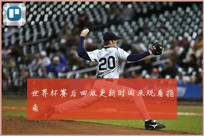 世界杯赛后回放更新时间及观看指南