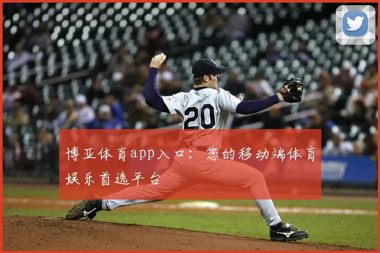 博亚体育app入口：您的移动端体育娱乐首选平台