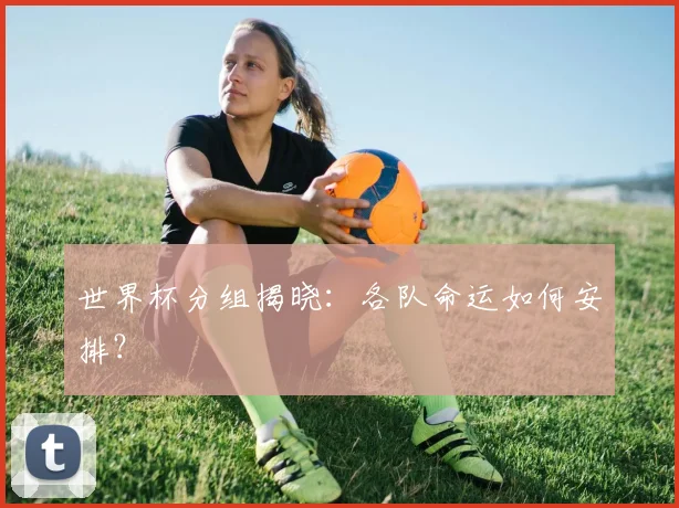 世界杯分组揭晓：各队命运如何安排？
