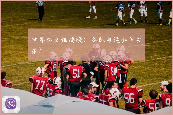 世界杯分组揭晓：各队命运如何安排？