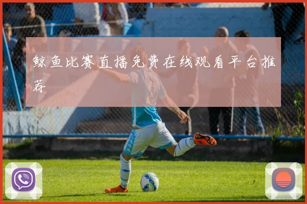 鲸鱼比赛直播免费在线观看平台推荐