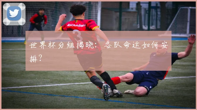 世界杯分组揭晓：各队命运如何安排？