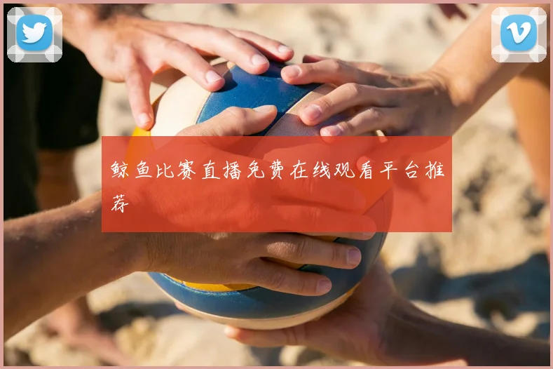 鲸鱼比赛直播免费在线观看平台推荐