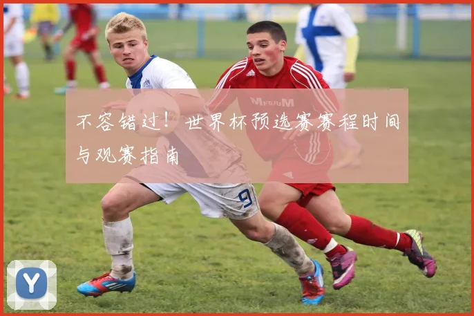 不容错过！世界杯预选赛赛程时间与观赛指南